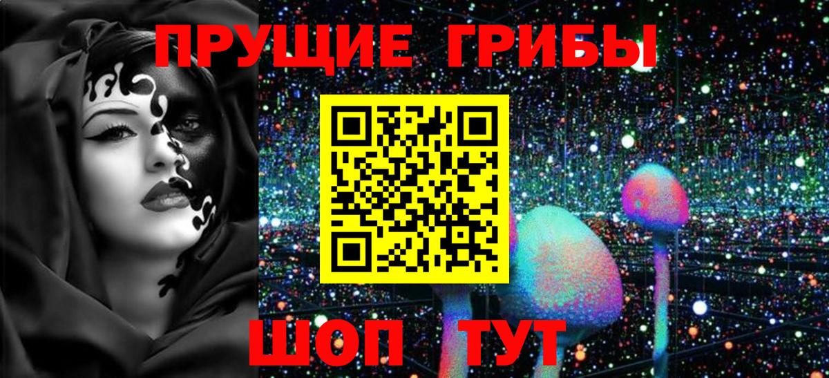 Курган  Галлюциногенные грибы прущие грибы  Вход с VPN  Галлюциногенные грибы Psilocybine cubensis 