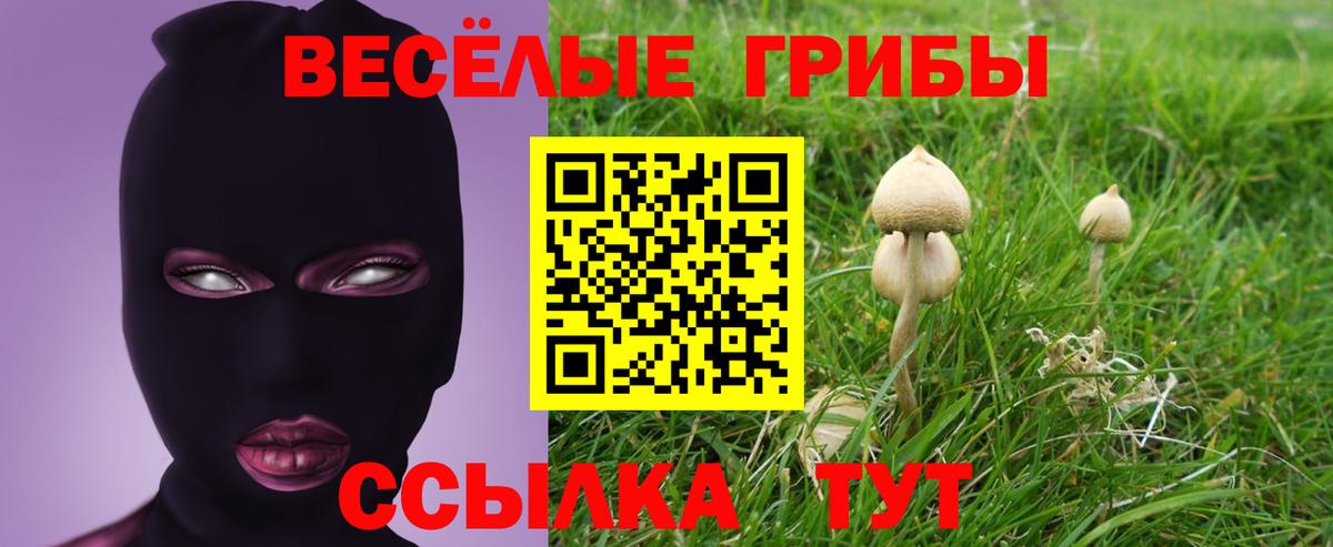 Галлюциногенные грибы ЛСД Курган